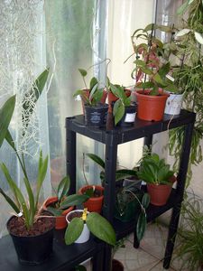 DSCN5897.JPG