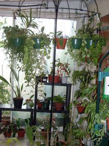 DSCN5912.JPG