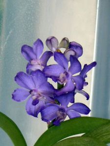 RSCN5883.JPG