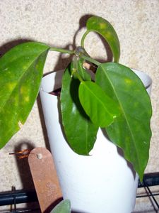 DSCN6339.JPG