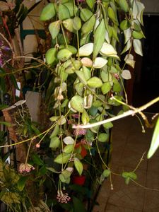 DSCN6386.JPG