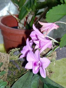DSCN6938.JPG
