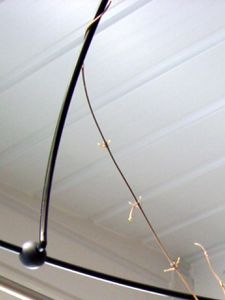 RSCN4985.JPG