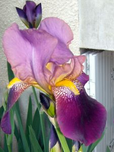 RSCN4924.JPG