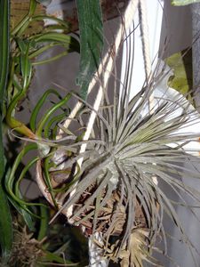DSCN7341.JPG