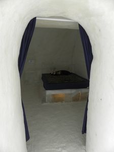 3.JPG