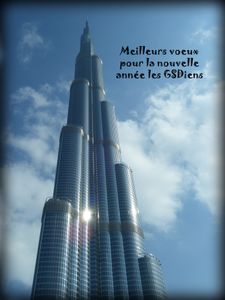 voeux gsd 2010