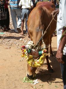 pentax-INDIA-001.jpg