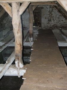 DSCF7546.JPG