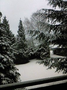 SP_A0176.jpg