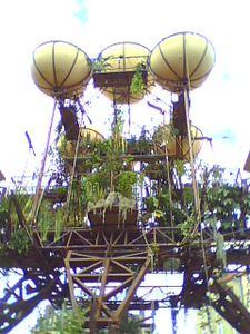Photo 0137