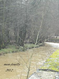 DSC00963ffff.jpg