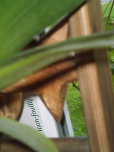 Photo-1270550611fffffffff.jpg