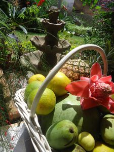 DSC09634