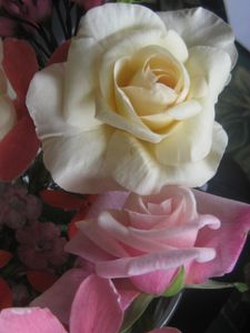 Compos-Roses-Douceur-1-4590.JPG