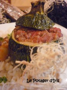 Courgettes rondes1