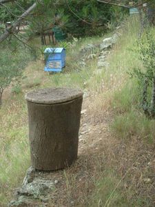 ruche-02.JPG