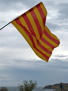 P1010368