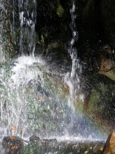 IMGP3808.JPG
