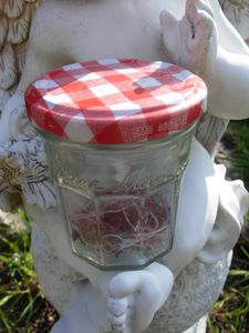 DSCN4488.JPG
