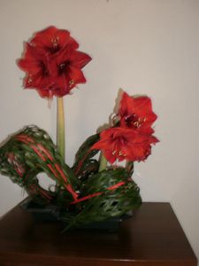 art floral fev 2013 bis
