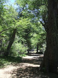 Lagunadelhuemul-CaminoShangrila-2010 (7)