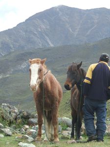 Huaraz-CordilleraHuayuash-mayo2007 (30)