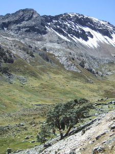 Huaraz-CordilleraHuayuash-mayo2007 (69)