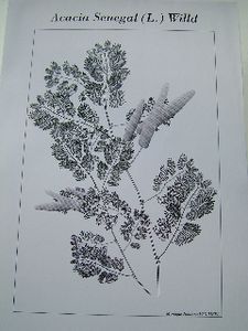 creation-Johanna-VanMEEL.jpg