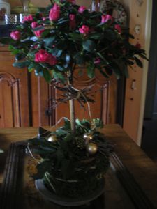 noel-23-006.JPG