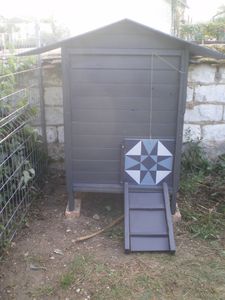MP101-et-poulailler-007.JPG