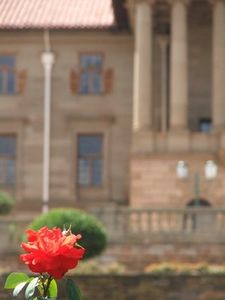 Union Buildings est fleuri - Pierrick Lieben 2010 Union-Buildings-est-fleuri.jpg
