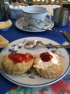 Photo 064