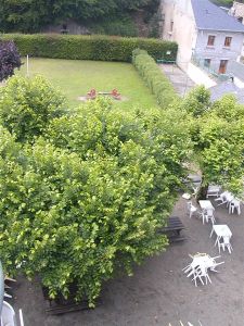 cour-203--Medium-.jpg