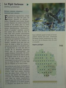 P1000093