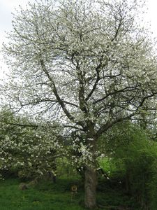 img 0545