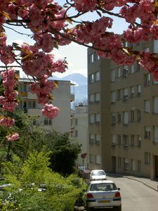 Lausanne LePrintemps (3)