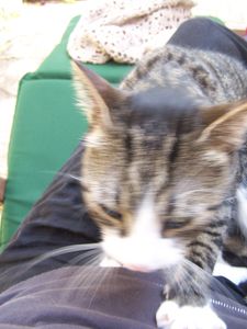 100_2257.JPG