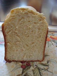 DSC01059-copie-1.JPG