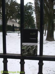 2012-02-10-Book-cannisses-dans-la-neige-FB-copie-1.jpg