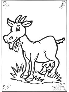 chevre-2-b2097.jpg