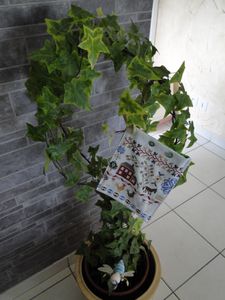 DSC00438