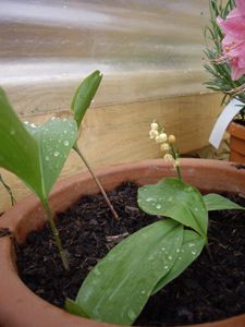 18052010-005.JPG