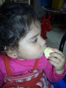 009-copie-1