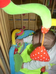 030-copie-2