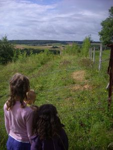 015-copie-4