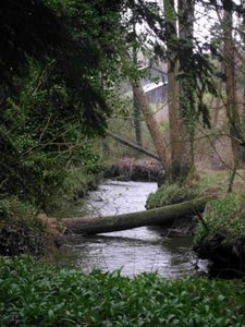 douron-vers-pont-menou 004