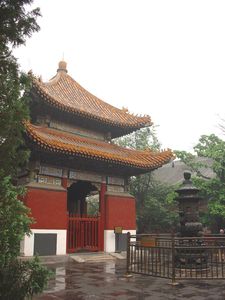 DSC02318.jpg