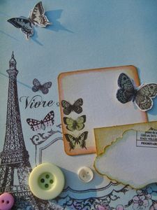 Joie de Vivre (17)