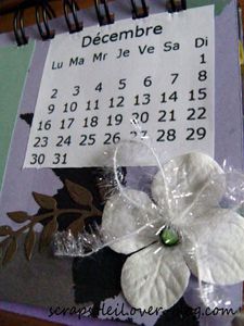 calendrier 2013 (17)
